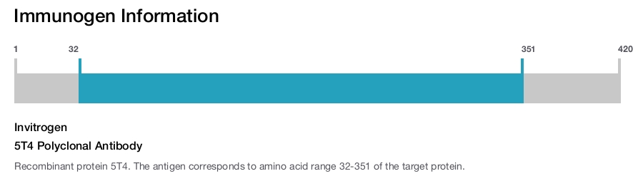 5T4 Polyclonal Antibody