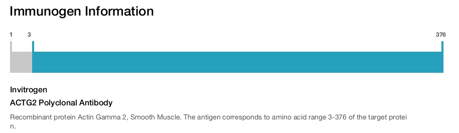 ACTG2 Polyclonal Antibody