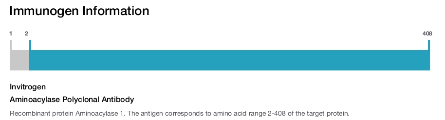 Aminoacylase Polyclonal Antibody
