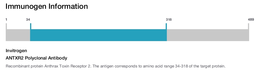 ANTXR2 Polyclonal Antibody