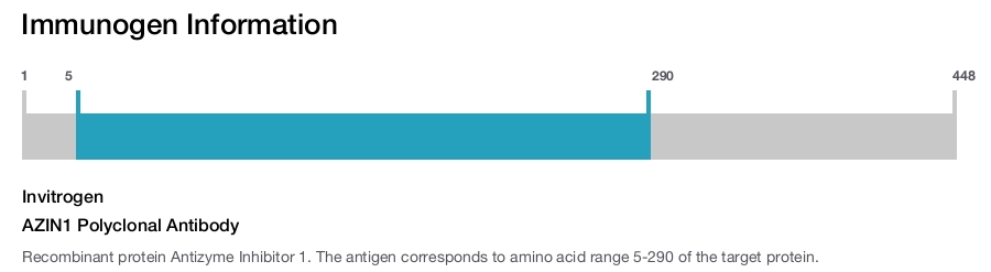 AZIN1 Polyclonal Antibody