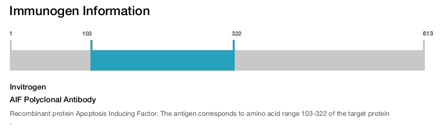 AIF Polyclonal Antibody