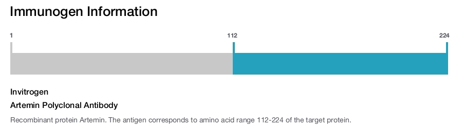 Artemin Polyclonal Antibody