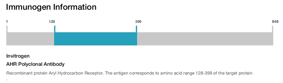 AHR Polyclonal Antibody