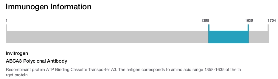 ABCA3 Polyclonal Antibody
