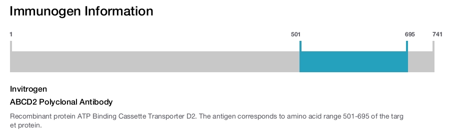 ABCD2 Polyclonal Antibody