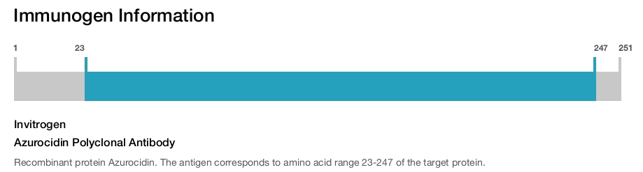 Azurocidin Polyclonal Antibody