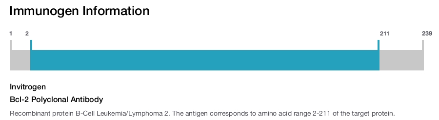 Bcl-2 Polyclonal Antibody