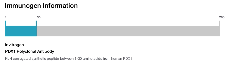 PDX1 Polyclonal Antibody