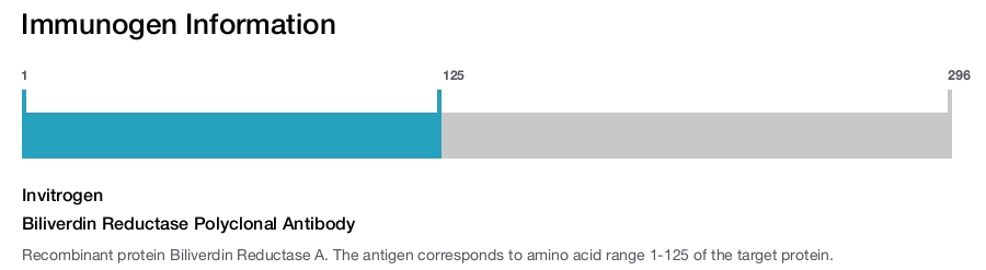 Biliverdin Reductase Polyclonal Antibody