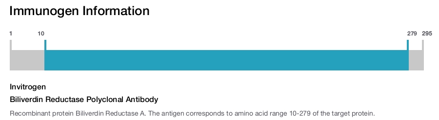 Biliverdin Reductase Polyclonal Antibody
