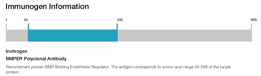 BMPER Polyclonal Antibody