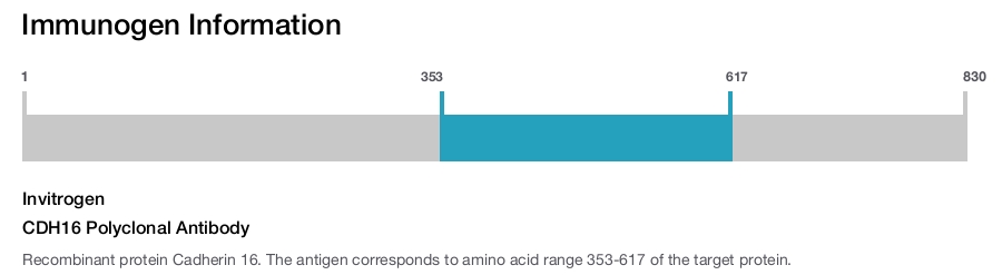 CDH16 Polyclonal Antibody