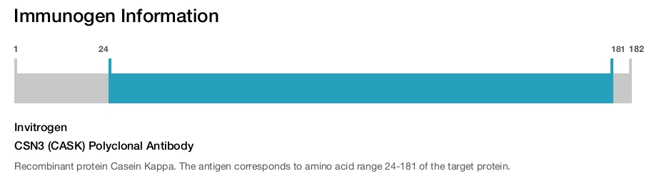 CSN3 (CASK) Polyclonal Antibody