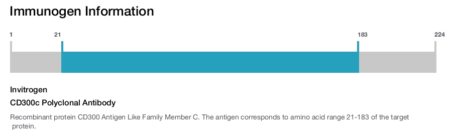CD300c Polyclonal Antibody