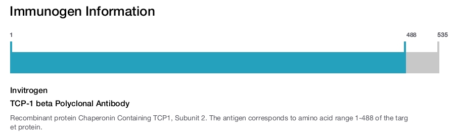 TCP-1 beta Polyclonal Antibody