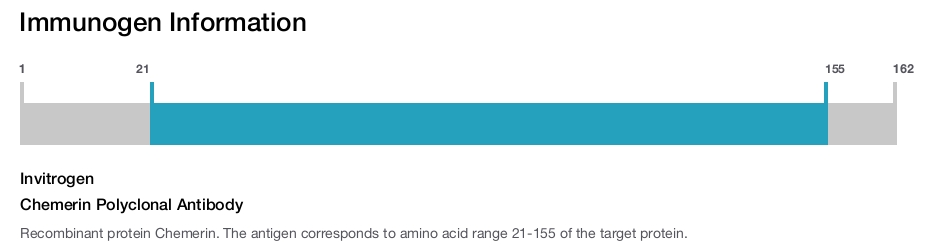 Chemerin Polyclonal Antibody