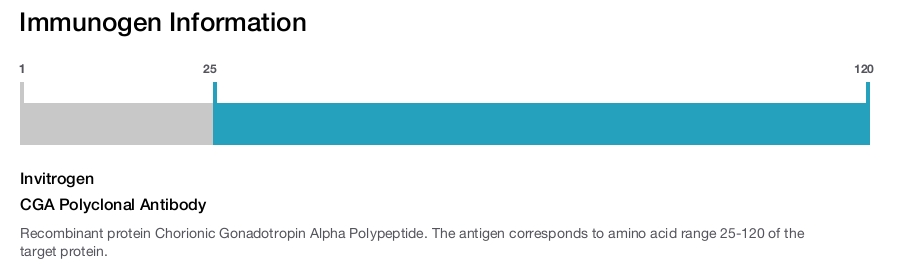 CGA Polyclonal Antibody
