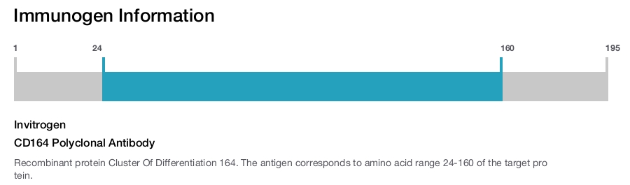 CD164 Polyclonal Antibody