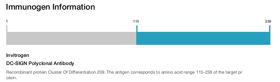DC-SIGN Polyclonal Antibody