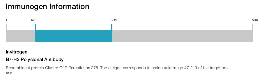 B7-H3 Polyclonal Antibody