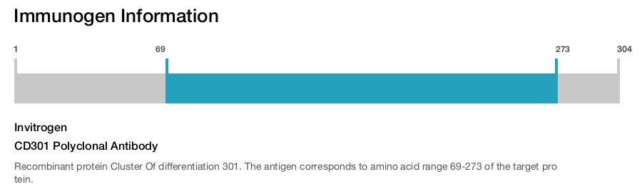 CD301 Polyclonal Antibody