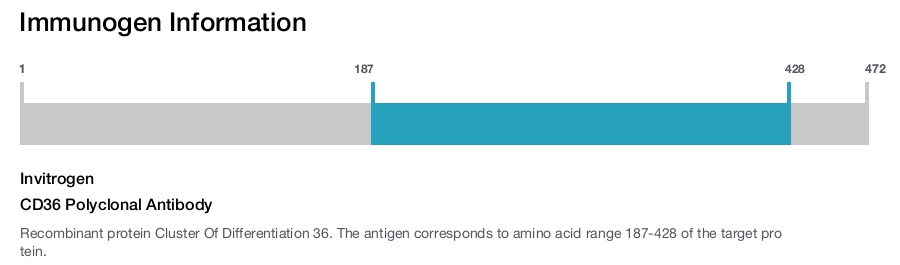 CD36 Polyclonal Antibody