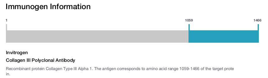 Collagen III Polyclonal Antibody