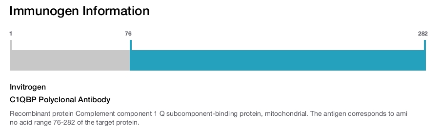 C1QBP Polyclonal Antibody
