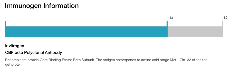 CBF beta Polyclonal Antibody