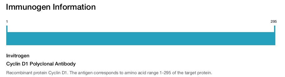 Cyclin D1 Polyclonal Antibody