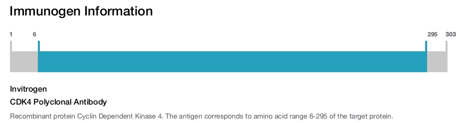 CDK4 Polyclonal Antibody