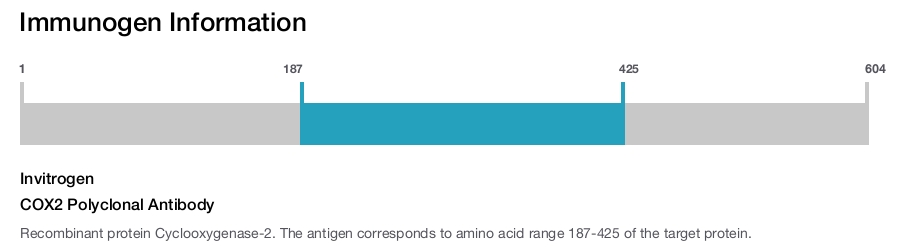 COX2 Polyclonal Antibody