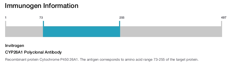 CYP26A1 Polyclonal Antibody