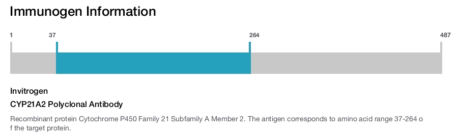 CYP21A2 Polyclonal Antibody