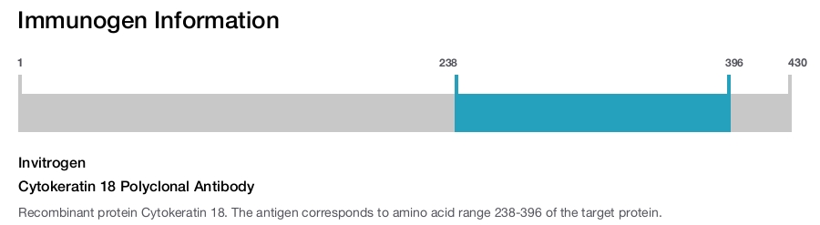Cytokeratin 18 Polyclonal Antibody