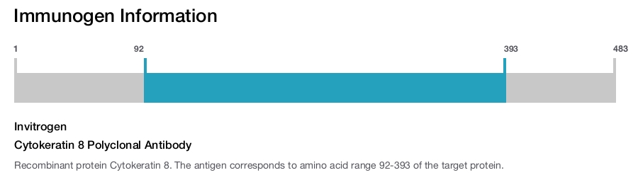Cytokeratin 8 Polyclonal Antibody