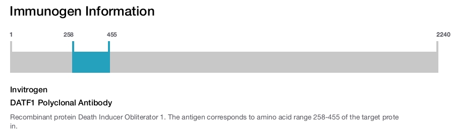 DATF1 Polyclonal Antibody