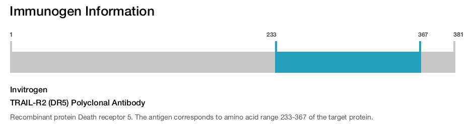 TRAIL-R2 (DR5) Polyclonal Antibody