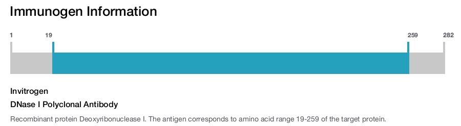 DNase I Polyclonal Antibody