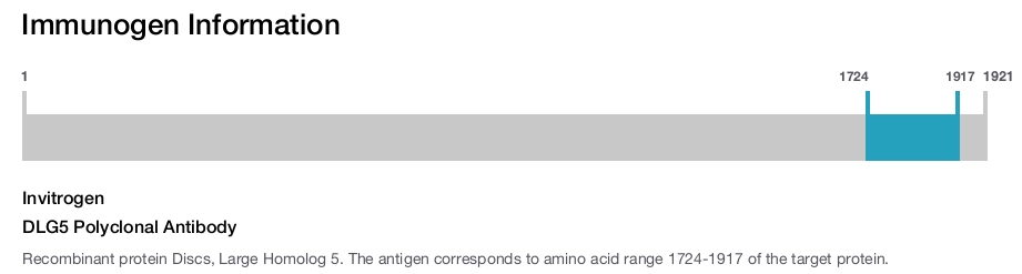 DLG5 Polyclonal Antibody