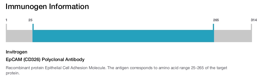 EpCAM (CD326) Polyclonal Antibody