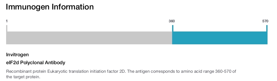 eIF2d Polyclonal Antibody