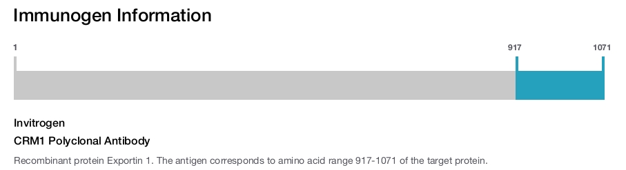 CRM1 Polyclonal Antibody