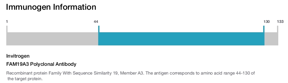 FAM19A3 Polyclonal Antibody