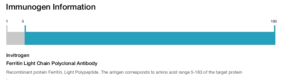 Ferritin Light Chain Polyclonal Antibody