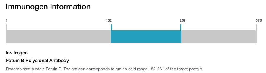 Fetuin B Polyclonal Antibody