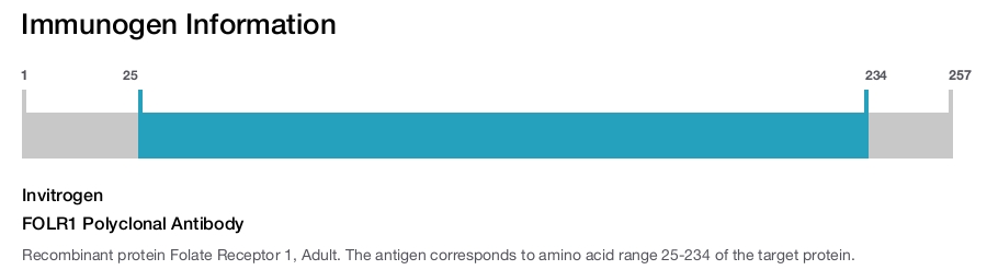 FOLR1 Polyclonal Antibody