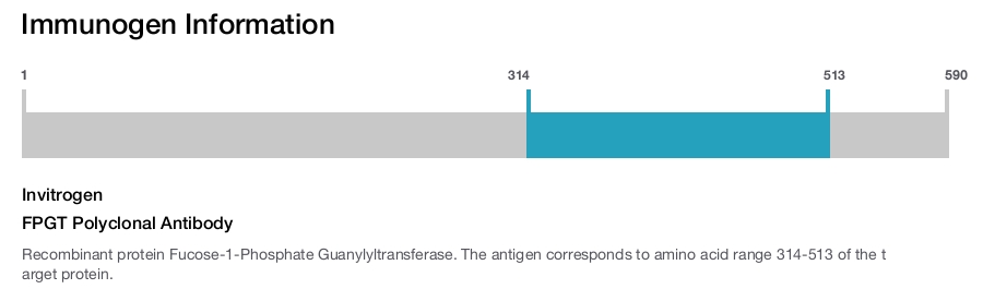 FPGT Polyclonal Antibody