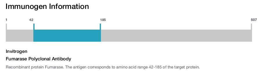Fumarase Polyclonal Antibody